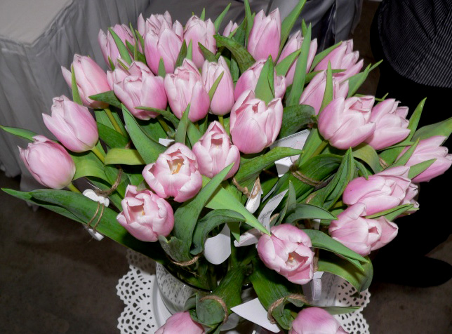 tulipány